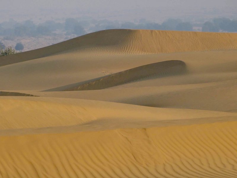 Пустыня Тхар
