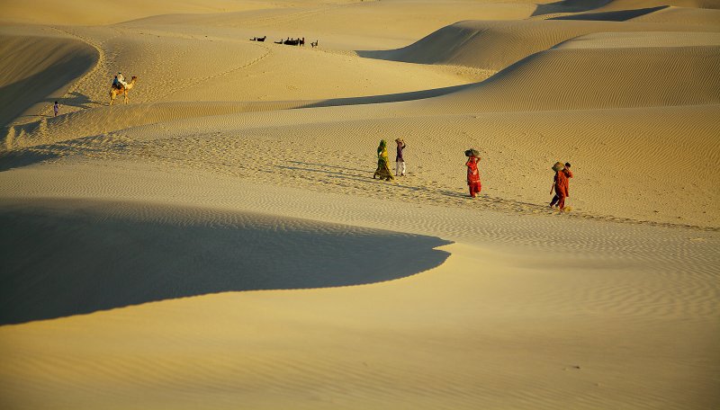 Пустыня тар физи