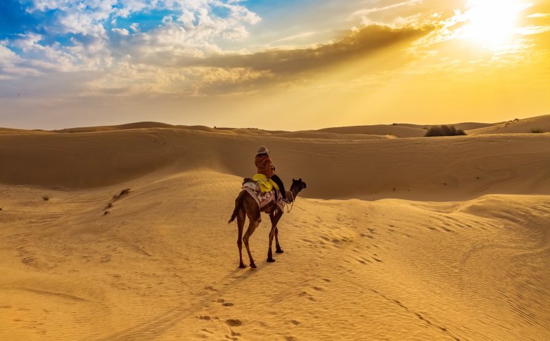 На верблюде по пустыне