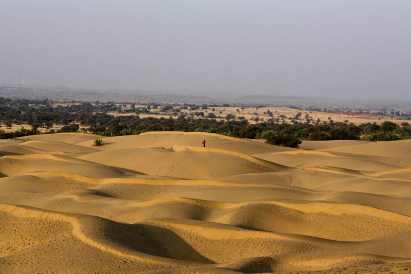 Пакистан пустыня тар