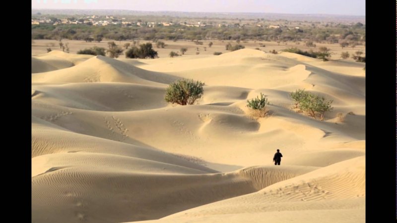 Пустыня тар Индия