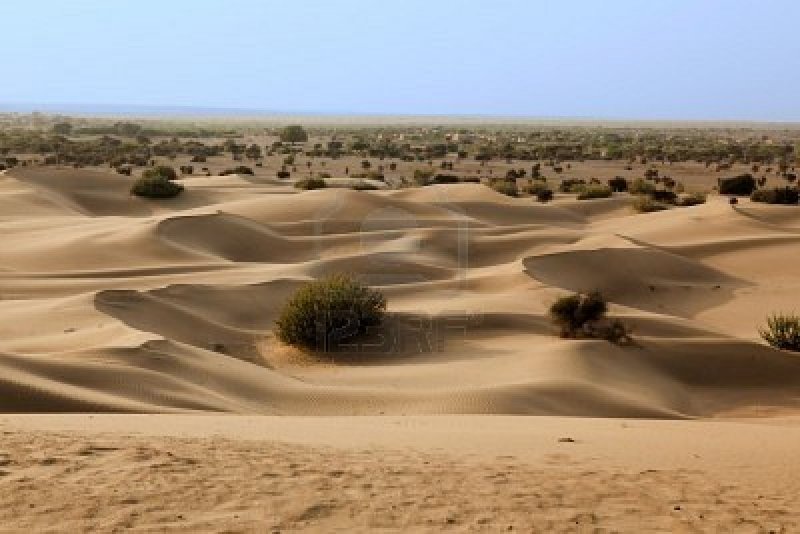Гуджарат пустыня