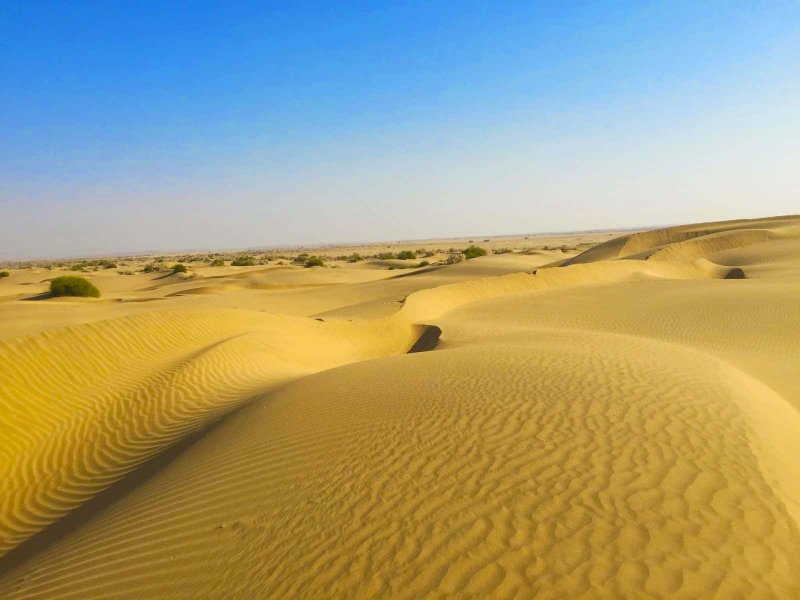 Раджастан пустыня