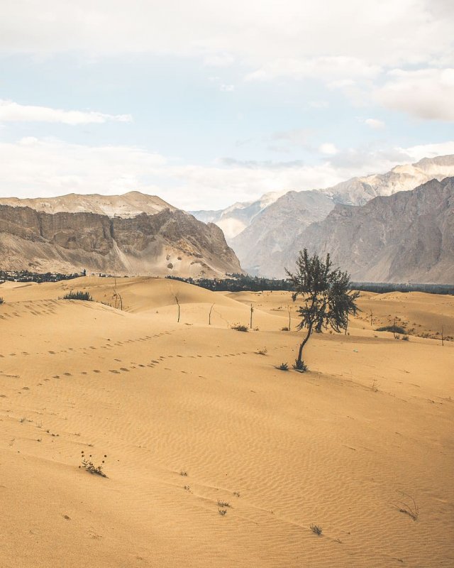 Деревни в Оазис в пустыне