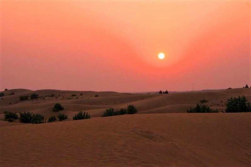 Самая густонаселенная пустыня в мире