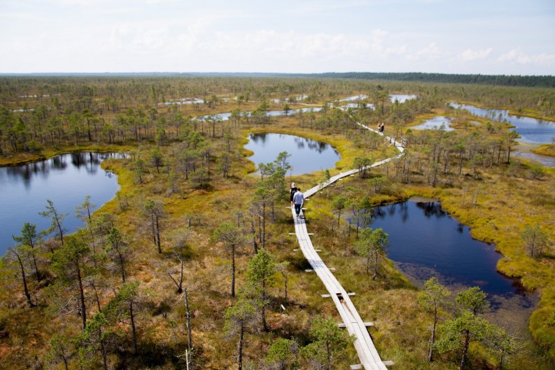 Пинские болота в Белоруссии