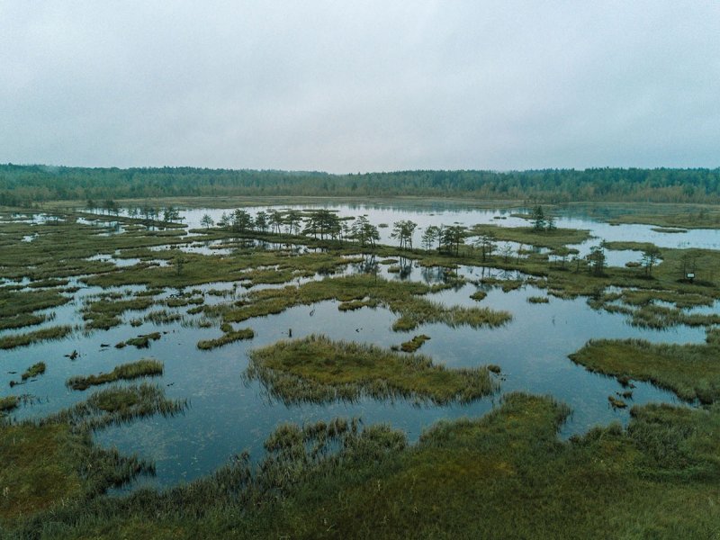 Нижнекурьинские водно-болотные угодья