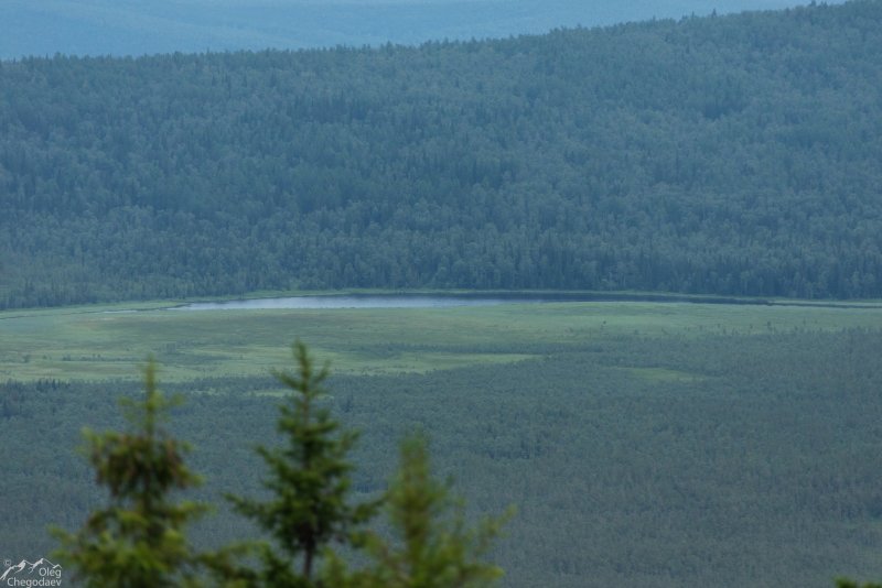 Лахтинское болото экологический маршрут