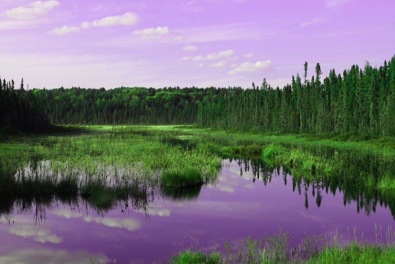 Та́хтинское болото
