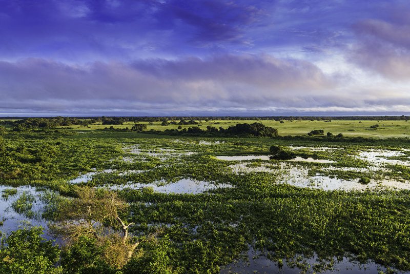 Национальный парк Пантанал Матогроссенсе