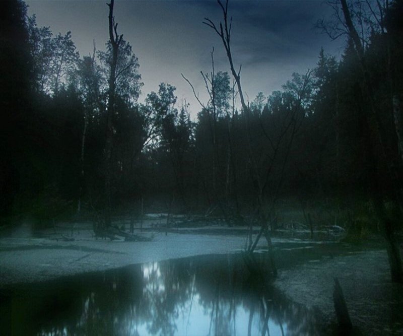 Ночное болото
