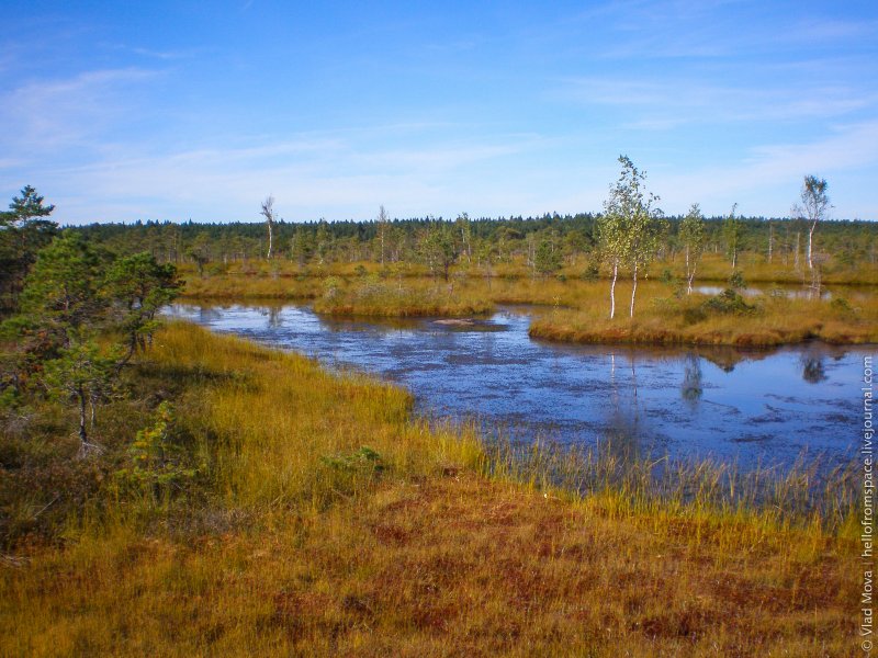 Кемери болота тропа
