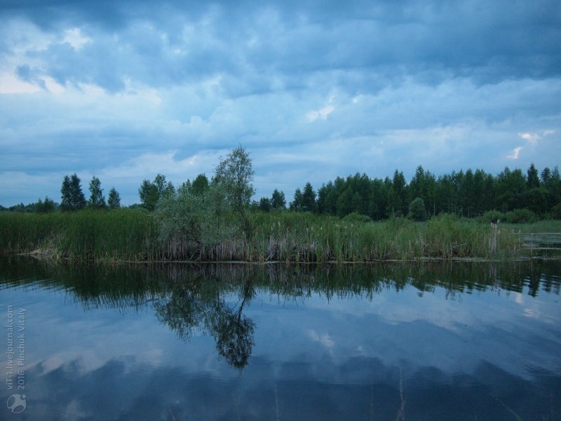 В Ульяновске есть болото