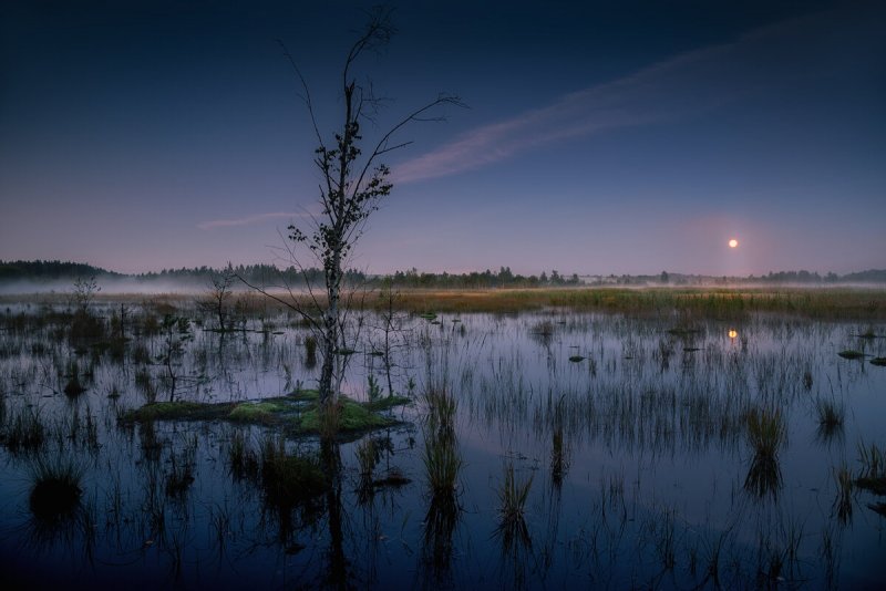 Долгое болото Владимирская область