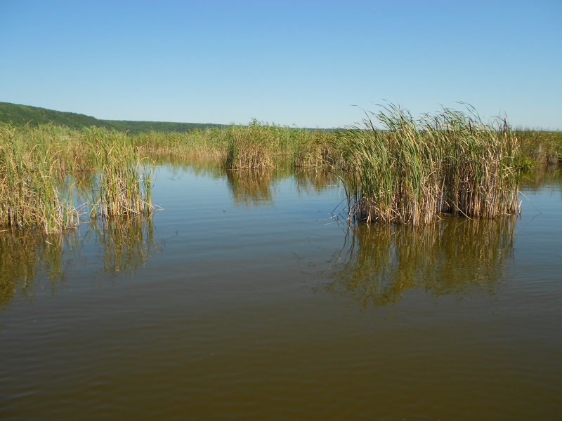 Галкинские болота в Калужской области на карте