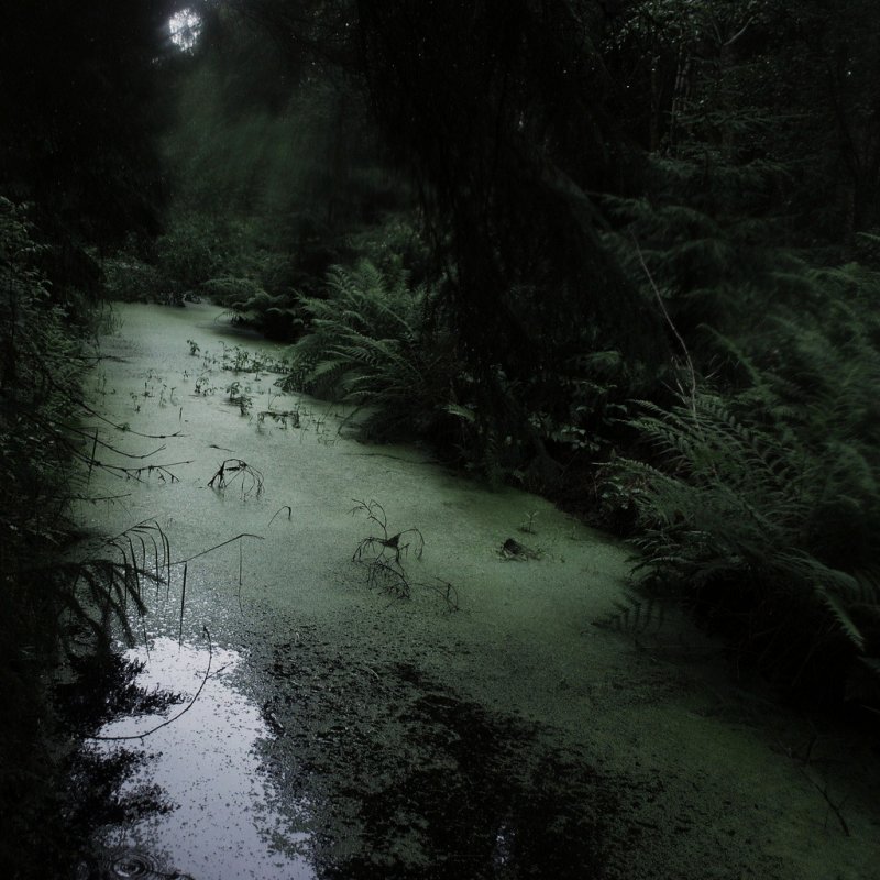 Мрачные болота