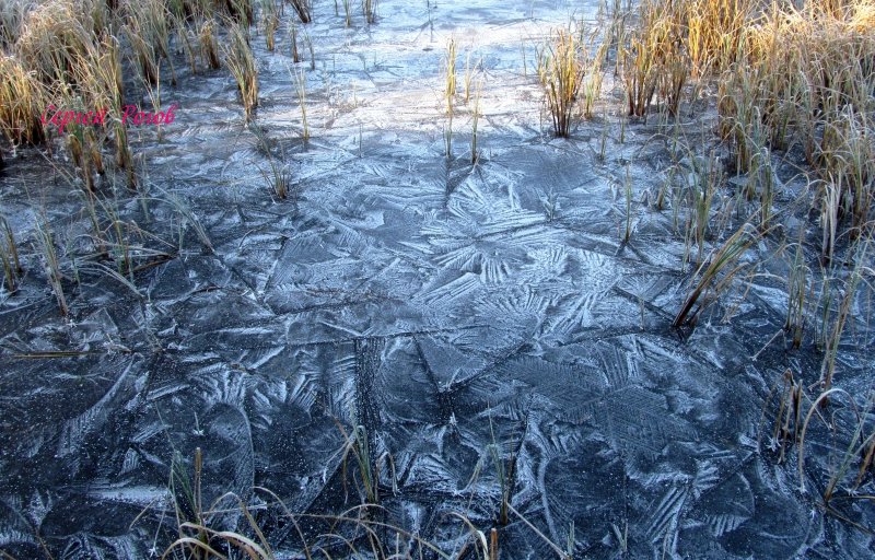 Лед на болоте