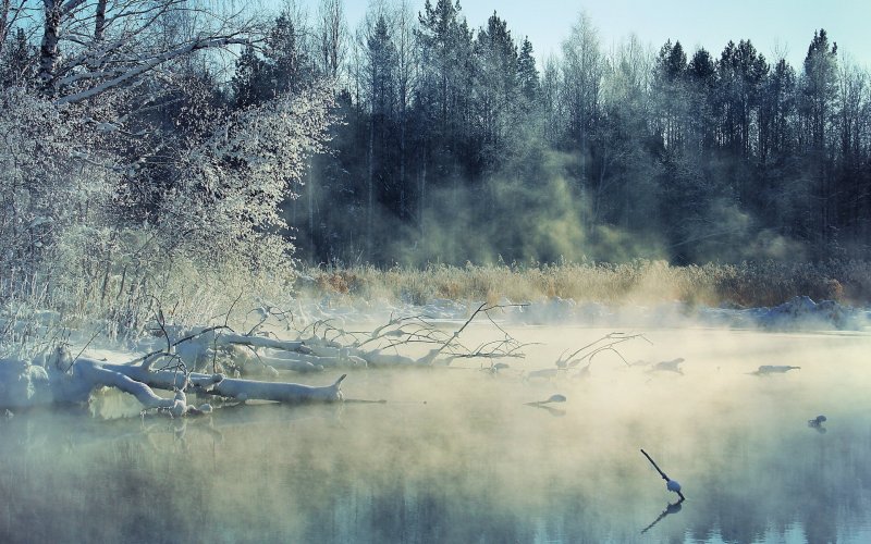 Озеро зима туман