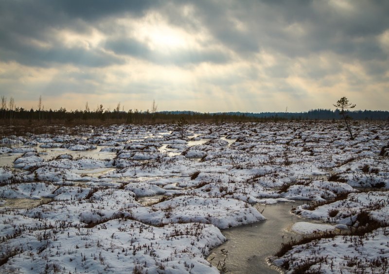 Ледяное болото