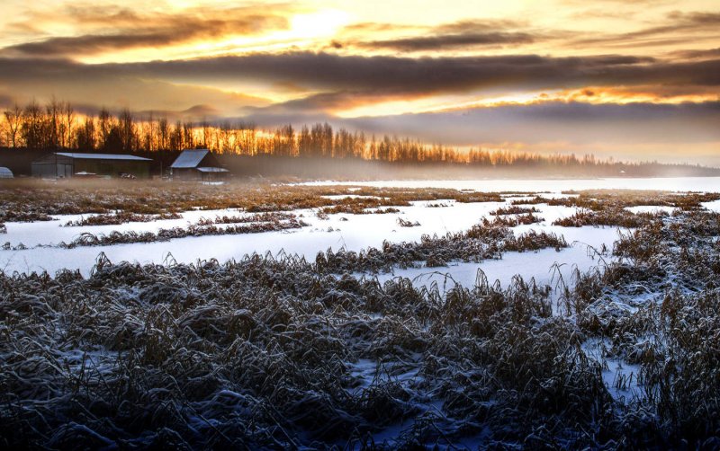 Васюганское болото зима