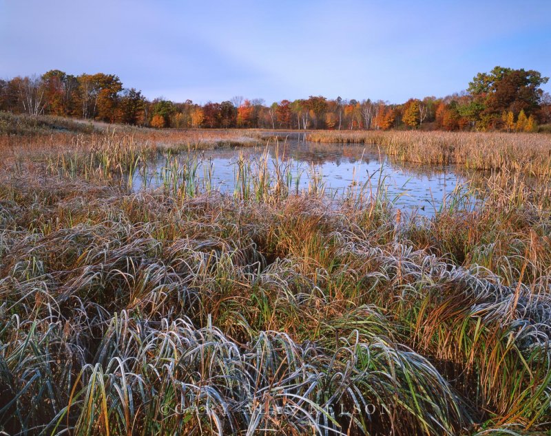 Экотропа Сестрорецкое болото зимой