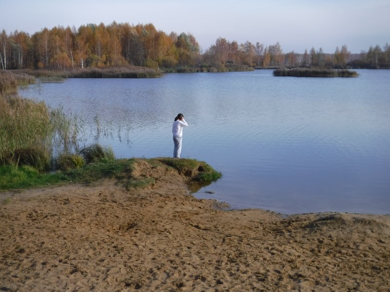Тереховское болото
