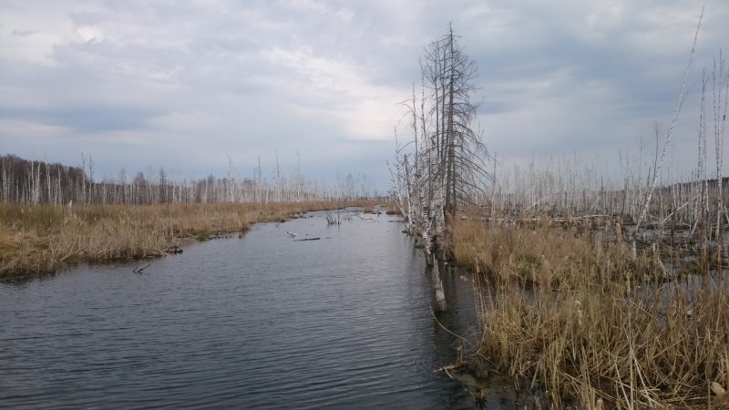 Чертово болото Удмуртия