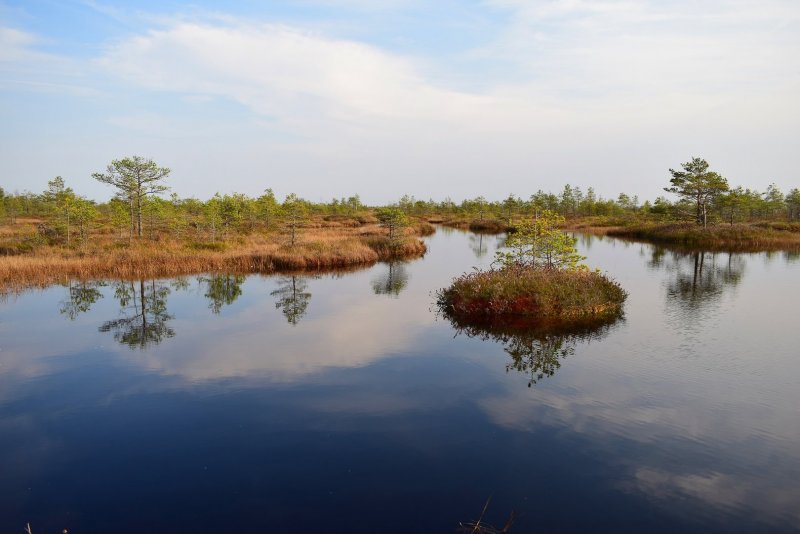 Припятские болота в Белоруссии
