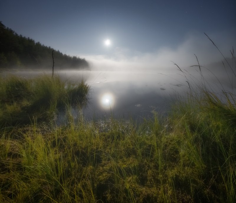 Ночь на болоте