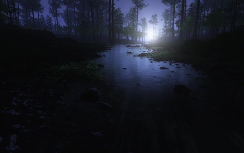 Ночная река в лесу