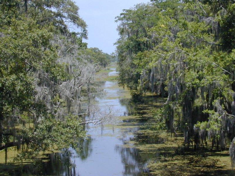 Озера Луизианы