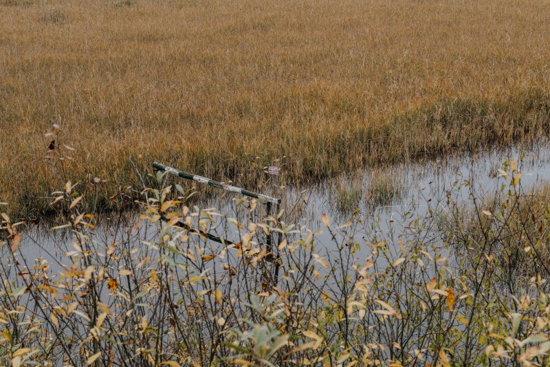 Какое болото было на месте Новодвинска