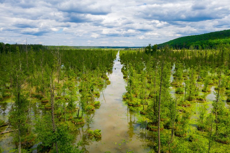 Фото внутренние воды России болота