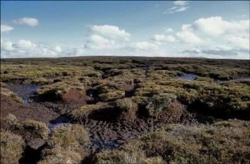 Торфяные болота Ирландии