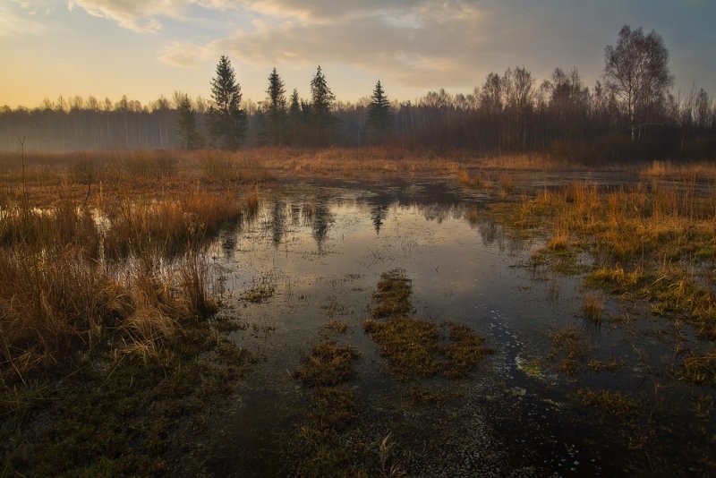 Иванищевское болото