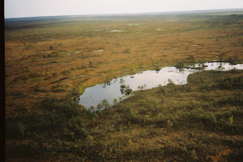 Красковское болото Валдай
