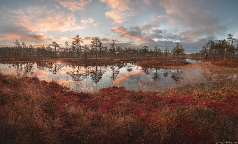 Васюганские болота осень