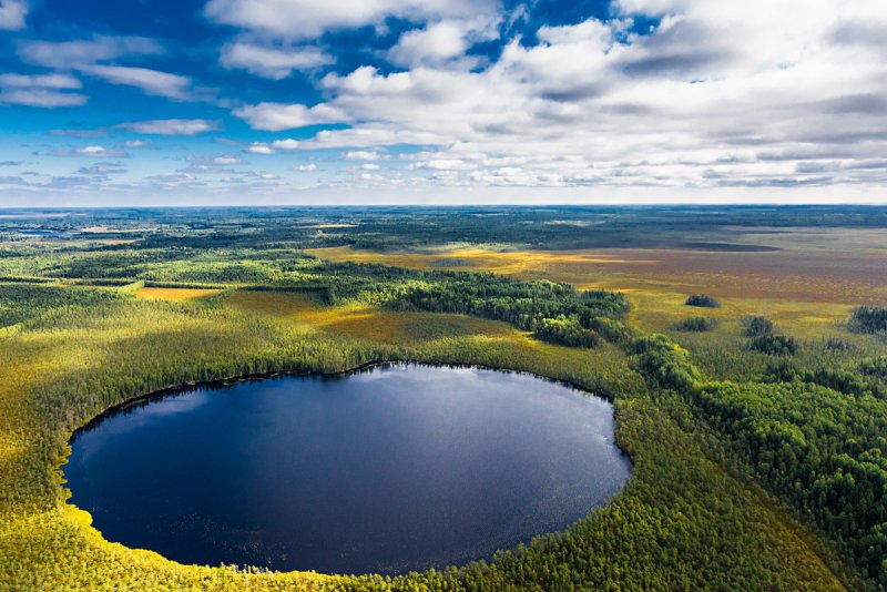Васюганские болота. Томская, Новосибирская и Омская области