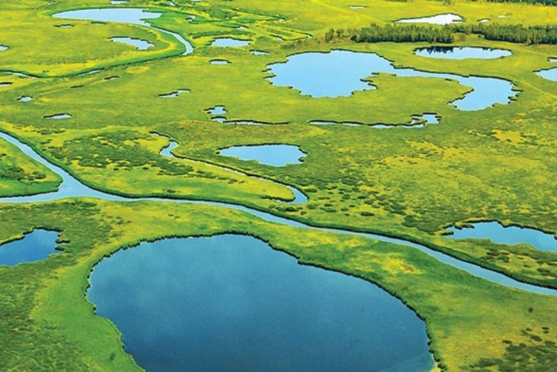 Западно Сибирская равнина Васюганское болото