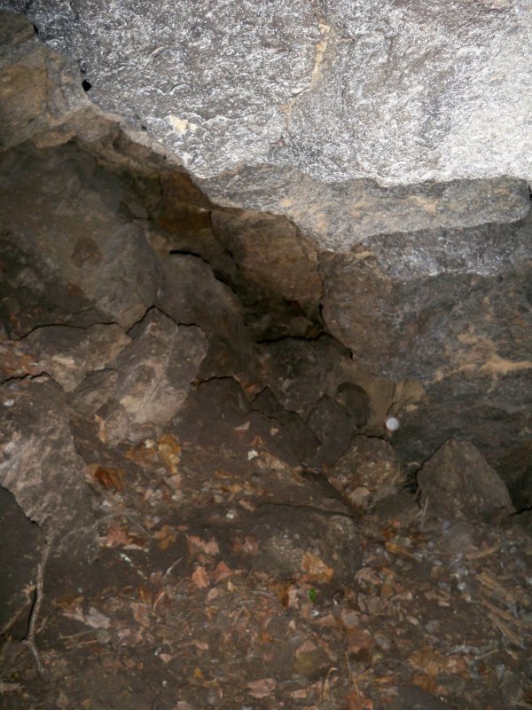 Широкопокосская пещера Сочи