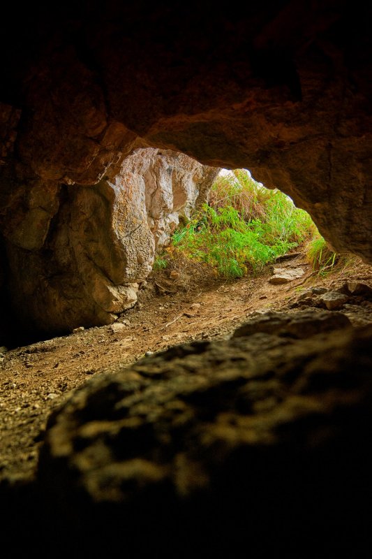 Тигирекский заповедник пещера Логово гиены