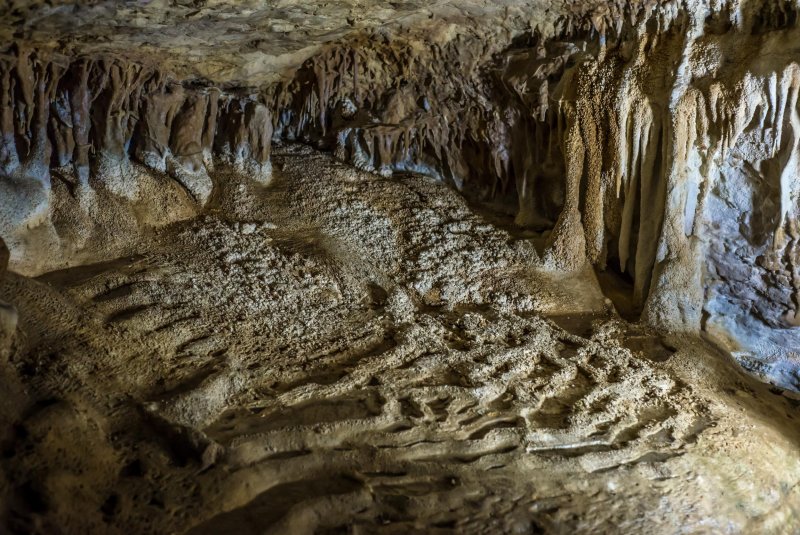 Пещера Чекановского