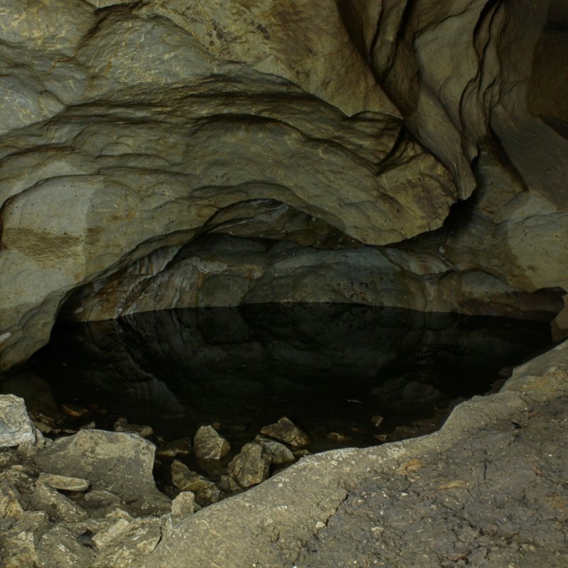 Алтайский край Краснощёковский район пещера летучих мышей