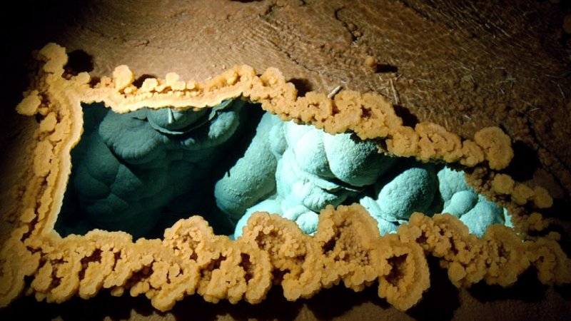 Лечугилла США пещера