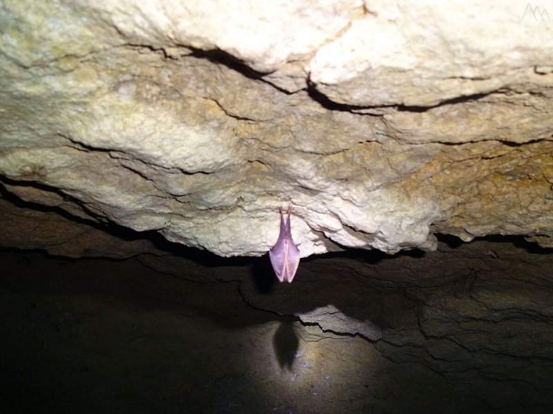 Шуби-Ныхасская пещера