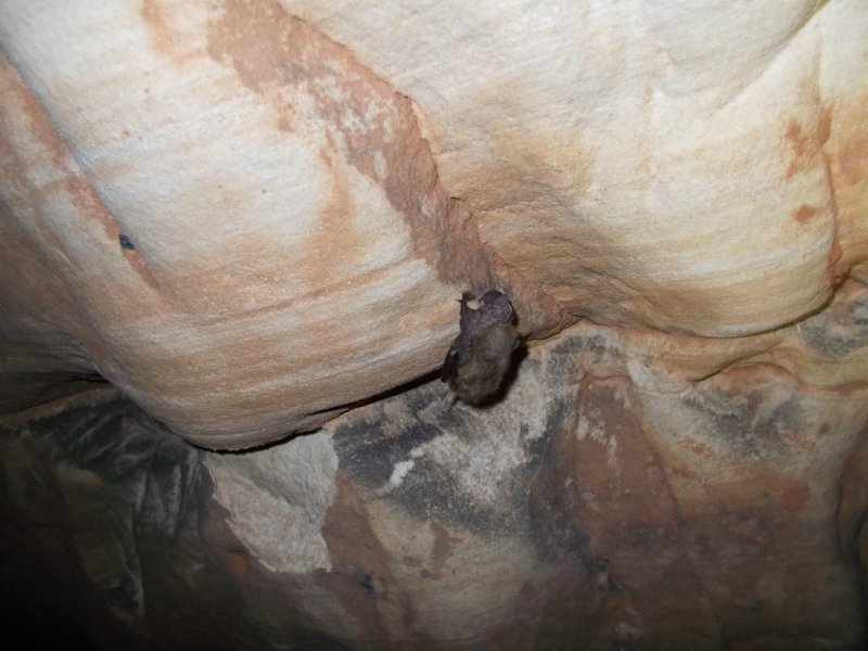 Лаклинская пещера Салаватский район