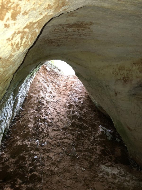 Борщевские пещеры Лужский район