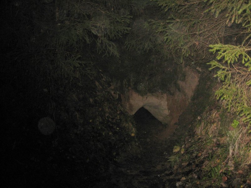 Трутневские пещеры Псковской области