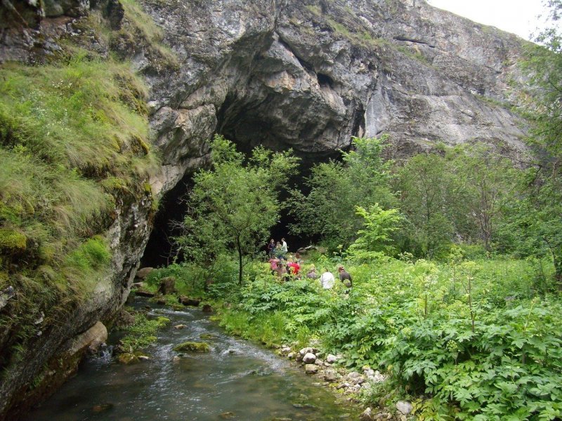 Башкортостан пещера Шульган-Таш