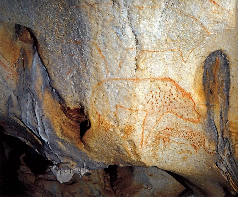 Пещерный медведь в пещере Шове